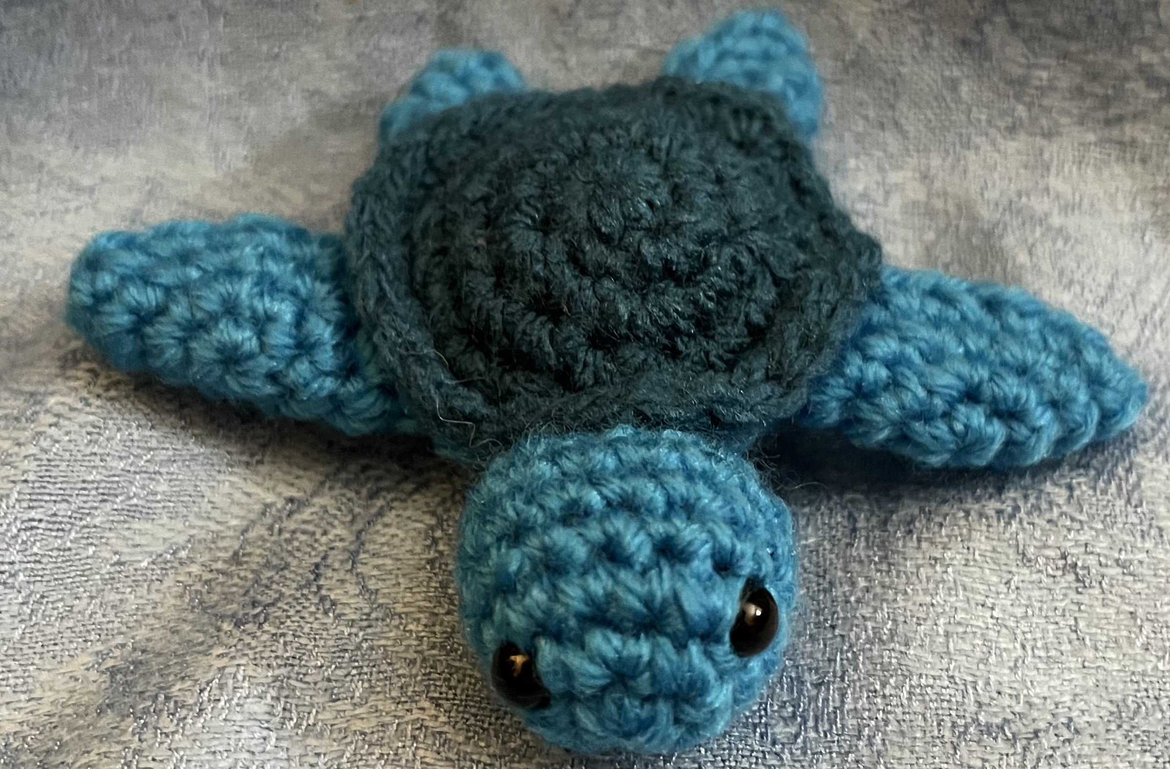 Blue Turtle